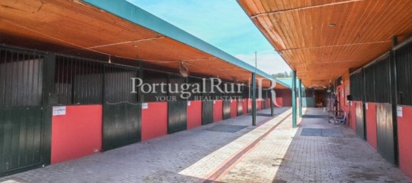  Castillos de 8 dormitorios en Elvas, Portugal No. 103779 42