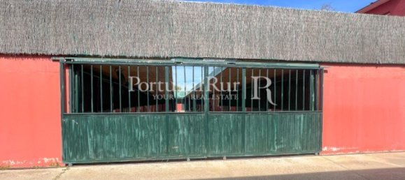  Castillos de 8 dormitorios en Elvas, Portugal No. 103779 46