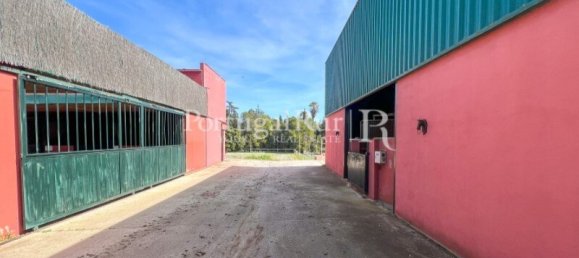  Castillos de 8 dormitorios en Elvas, Portugal No. 103779 45