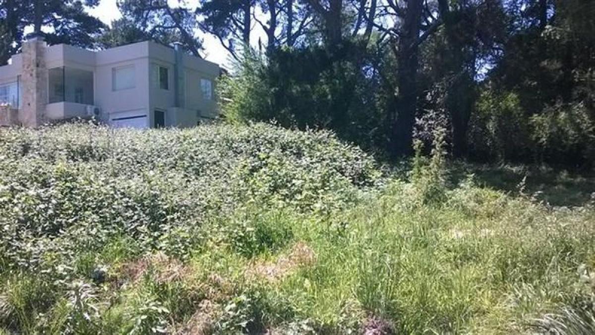  Land in General Pueyrredon, Argentina No. 41462