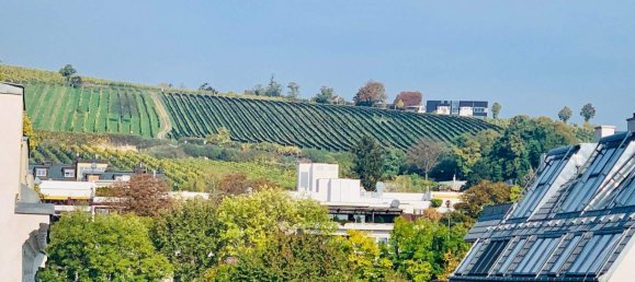 Penthouse de 4 divisões em Dobling, Austria N.º 245326 4