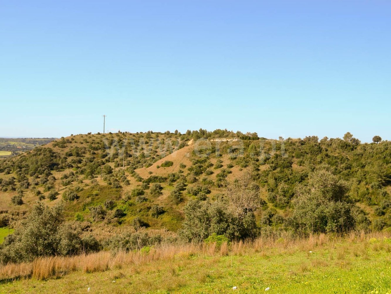 Terrain à Santarem, Portugal No. 251594