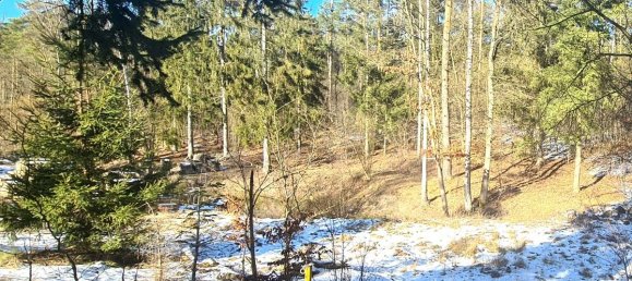 Земельный участок в Восточный Пригниц-Руппин, Германия № 227559 14