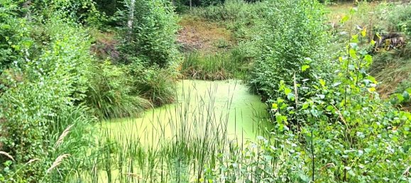 Земельный участок в Восточный Пригниц-Руппин, Германия № 227559 3