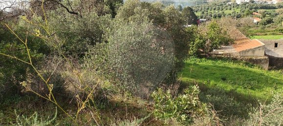 Дом с 3 спальнями в Вила Франка ди Шира, Португалия № 49802 2