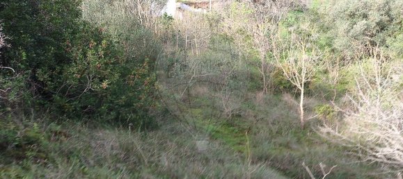 Дом с 3 спальнями в Вила Франка ди Шира, Португалия № 49802 11