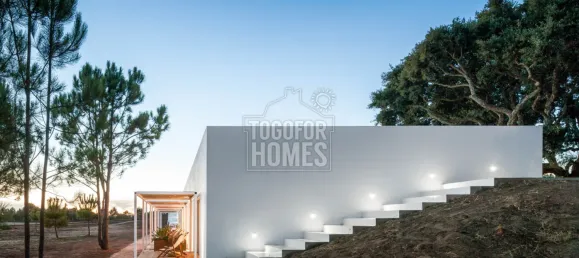 Hotel T26 em São Teotónio, Portugal N.º 56488 18