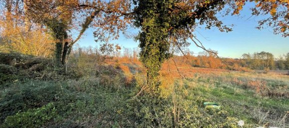 3 غرف نوم منزل في Bourgueil, France رقم 56792 14