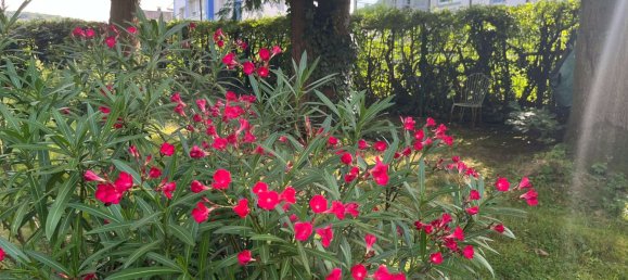 417m² Land in Hagen, Germany No. 23409 5