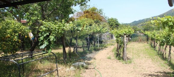 قطعة أرض في Fiscal, Portugal 2500متر مربع رقم 33212 7