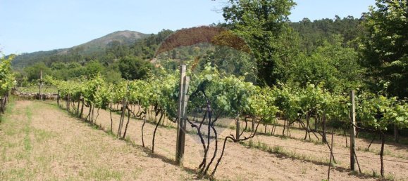 قطعة أرض في Fiscal, Portugal 2500متر مربع رقم 33212 9