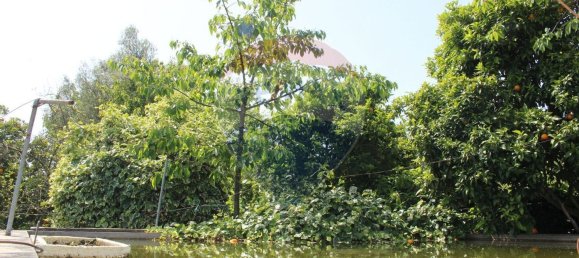 قطعة أرض في Fiscal, Portugal 2500متر مربع رقم 33212 15