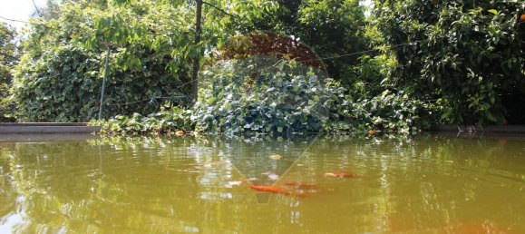 قطعة أرض في Fiscal, Portugal 2500متر مربع رقم 33212 13