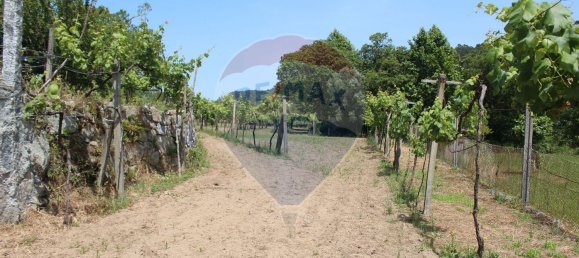 قطعة أرض في Fiscal, Portugal 2500متر مربع رقم 33212 6