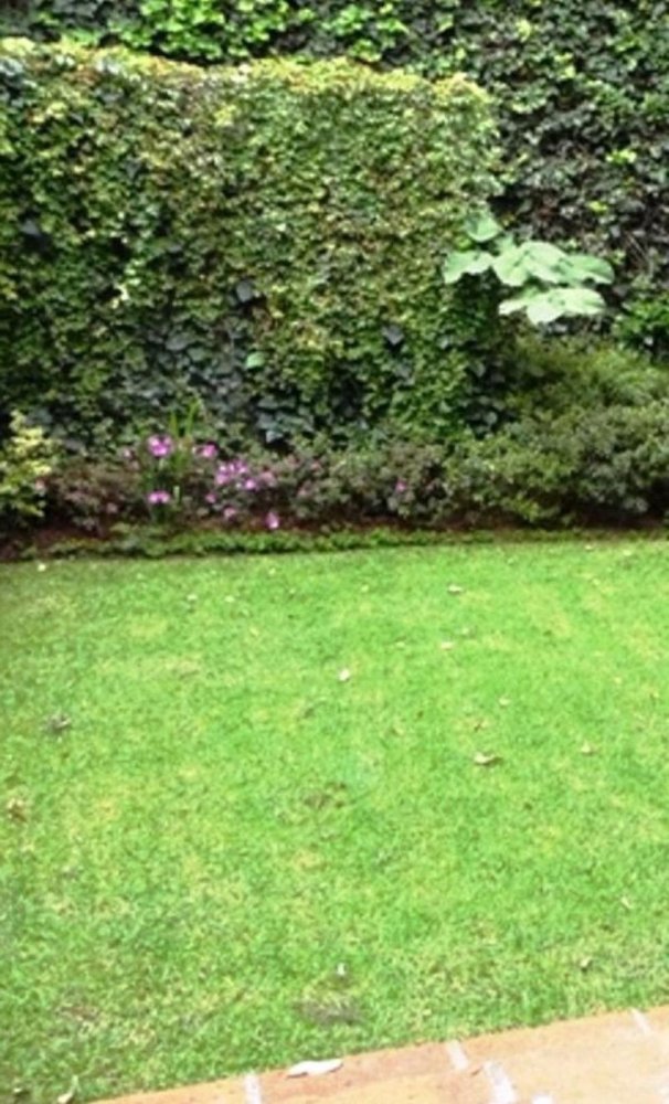 Terreno em Mexico N.º 206183