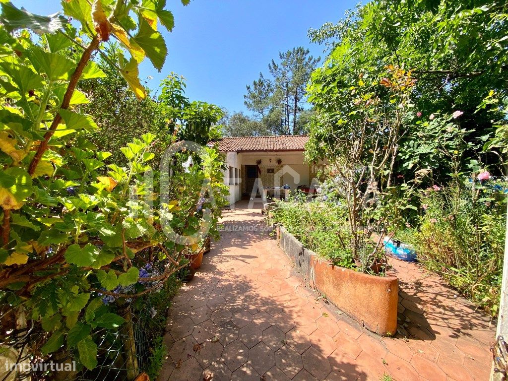 4 غرف نوم منزل في Sever do Vouga, Portugal رقم 200740