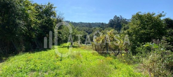 Casa de 4 dormitorios en Sever do Vouga, Portugal No. 200740 29