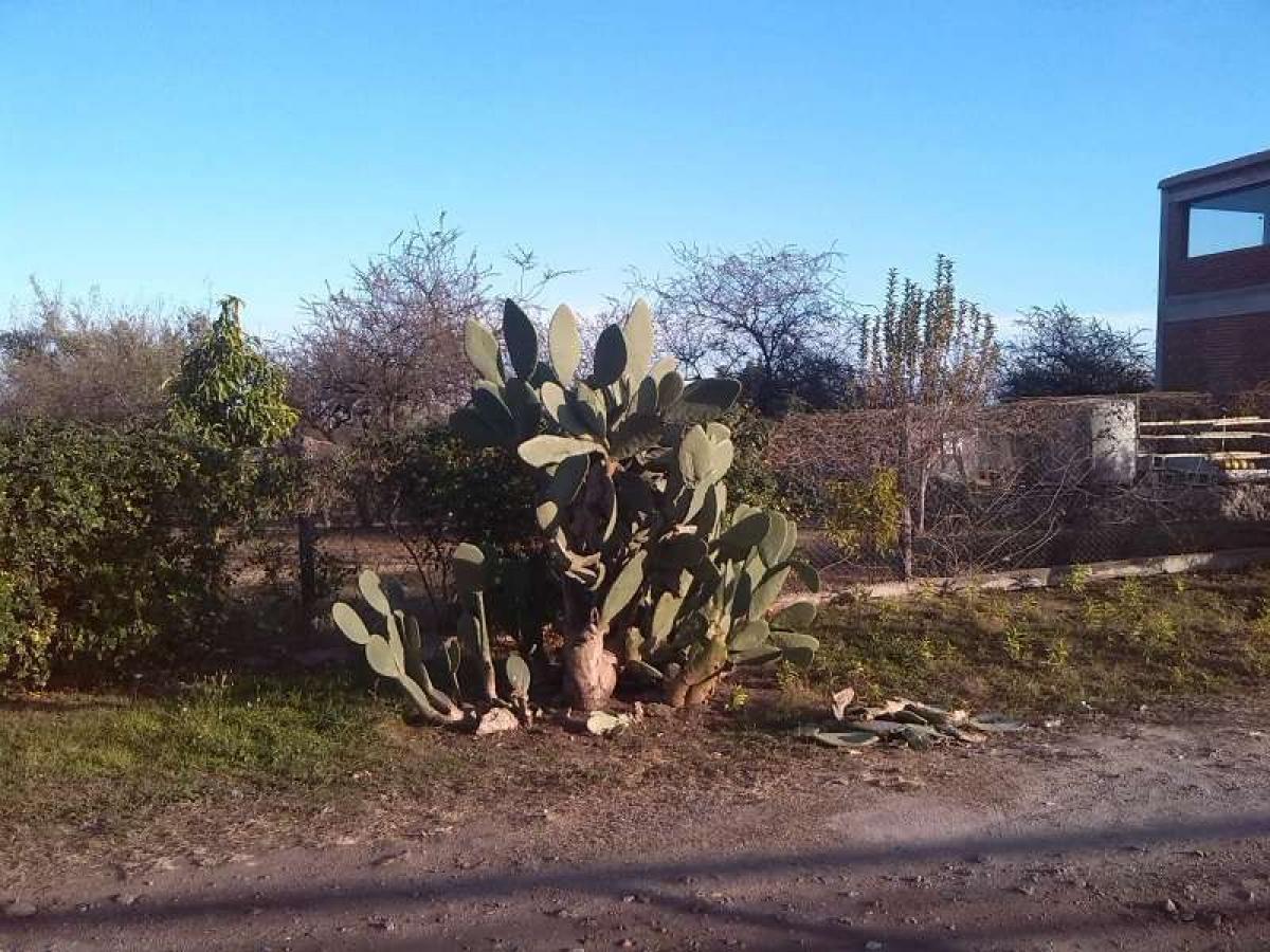  Land in Cordoba, Argentina No. 47703