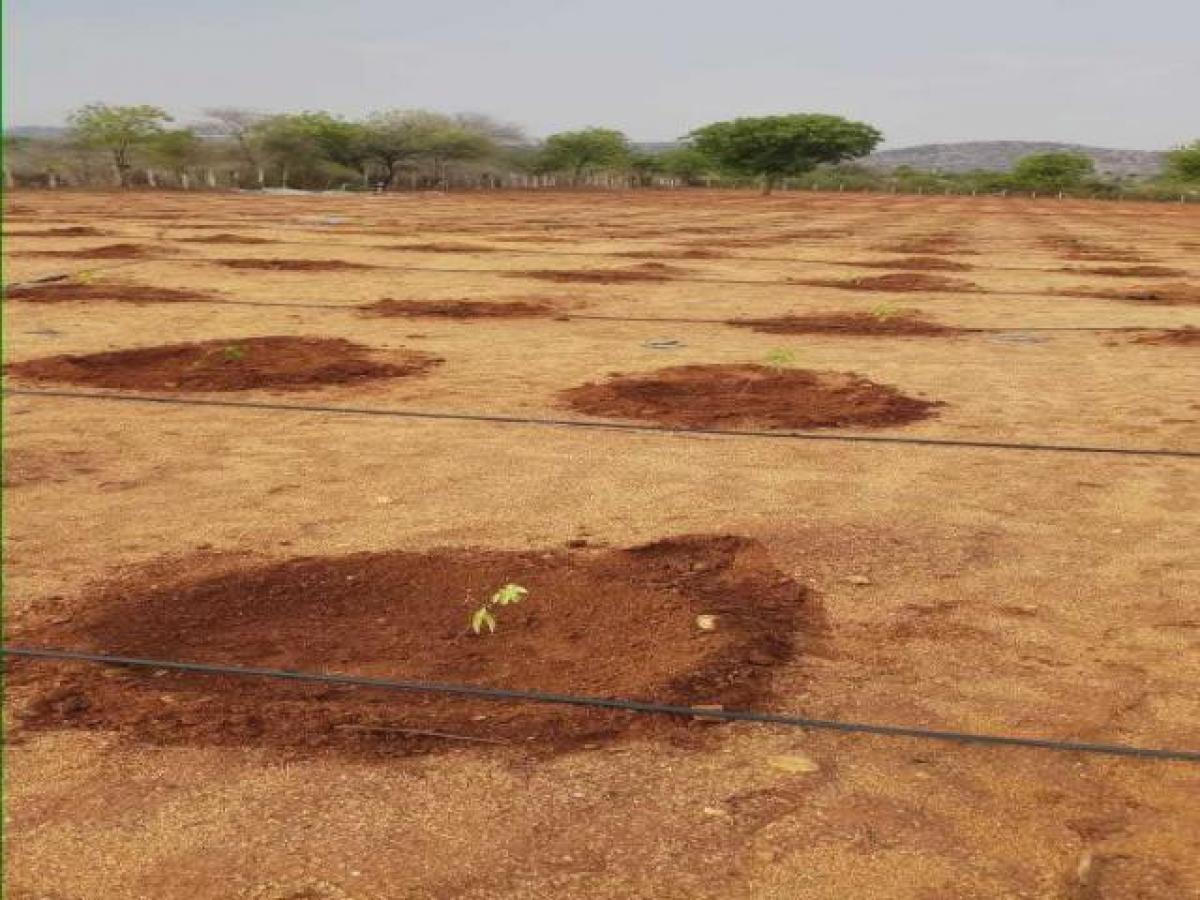 Terreno em Hyderabad, India N.º 34336