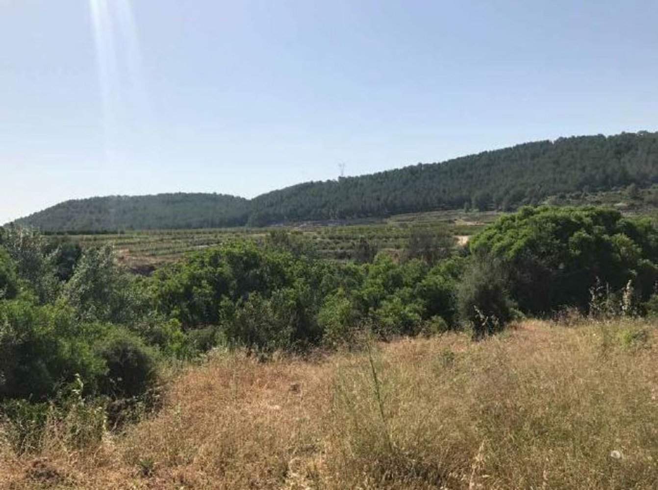 Terrain à Valencia, Spain 10803m² No. 205655