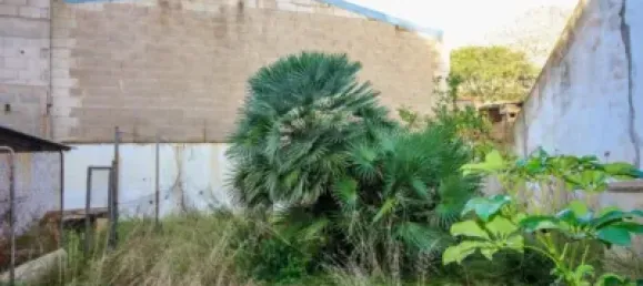 3 bedrooms Building in Mallorca, Spain No. 173925 6