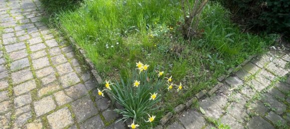 6 bedrooms Apartment in Piacenza, Italy No. 371068 38