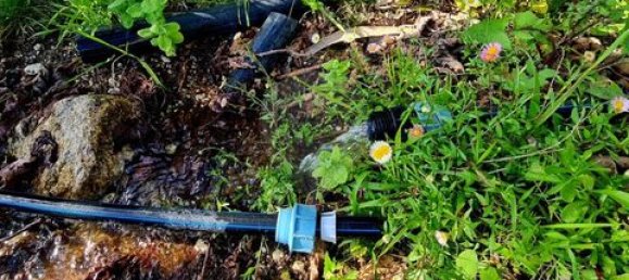 قطعة أرض في Cantelaes, Portugal رقم 190077 35