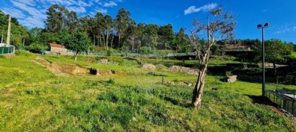 قطعة أرض في Cantelaes, Portugal رقم 190077 11