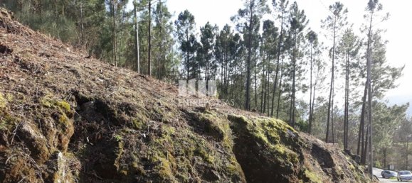 Terreno em Baião, Portugal 5700 m² N.º 52229 3