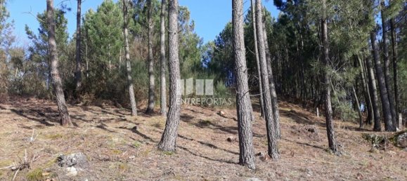 Terreno em Baião, Portugal 5700 m² N.º 52229 2