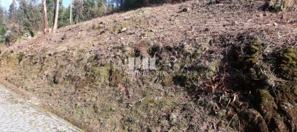 Terreno em Baião, Portugal 5700 m² N.º 52229 5