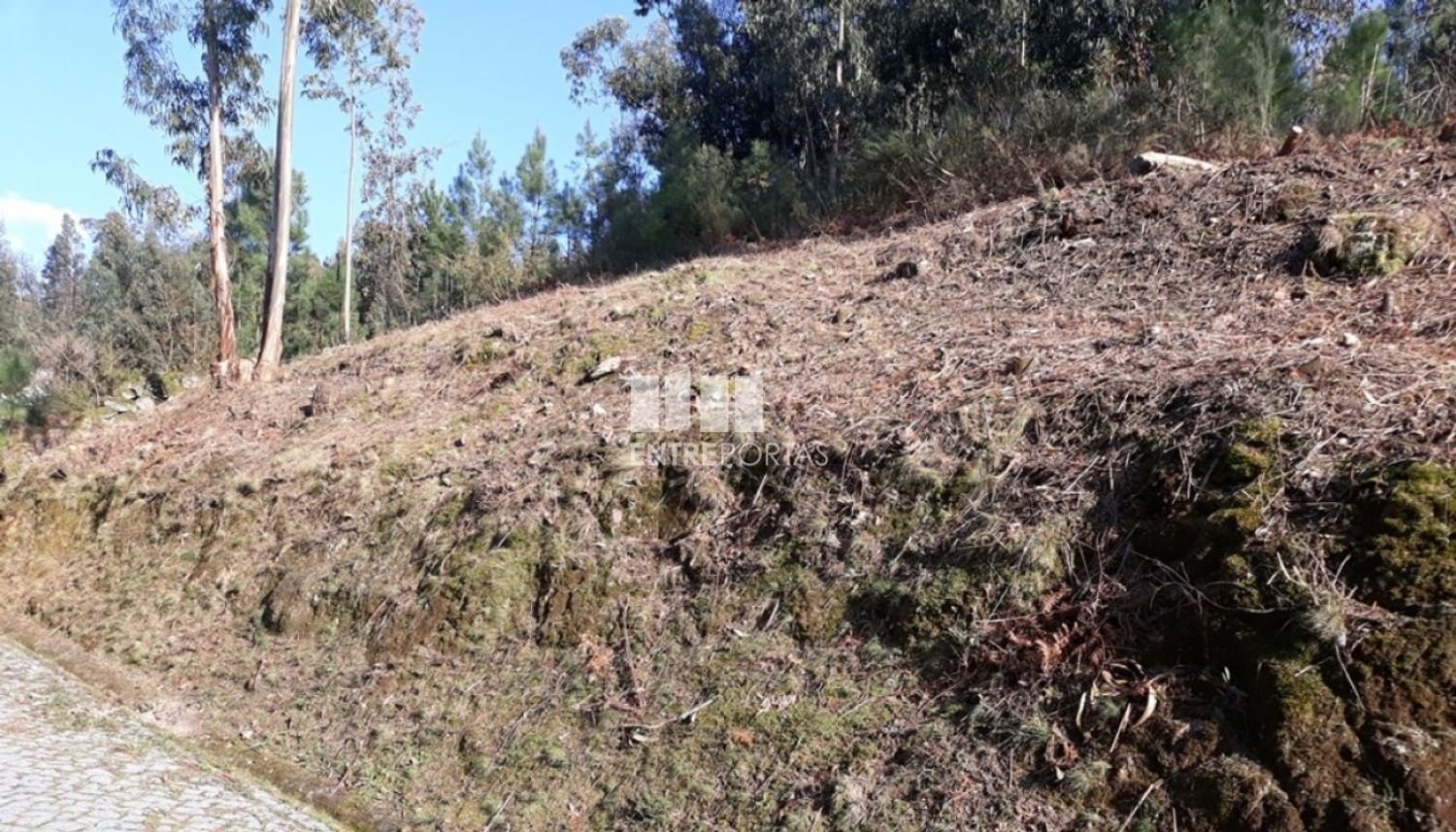 Terreno em Baião, Portugal 5700 m² N.º 52229
