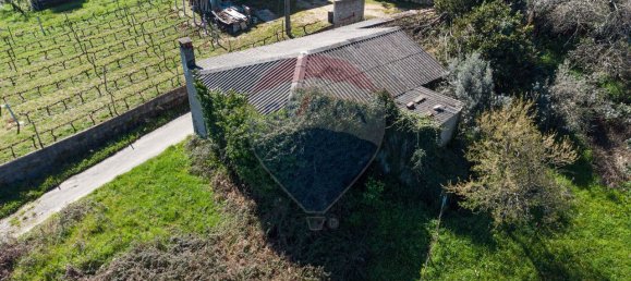 1 Schlafzimmer Haus in Pombeiro da Beira, Portugal, Nr. 16599 9