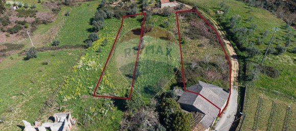 1 Schlafzimmer Haus in Pombeiro da Beira, Portugal, Nr. 16599 2