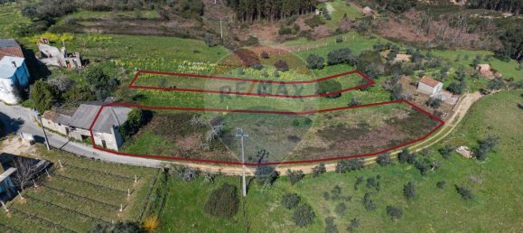 1 Schlafzimmer Haus in Pombeiro da Beira, Portugal, Nr. 16599 4