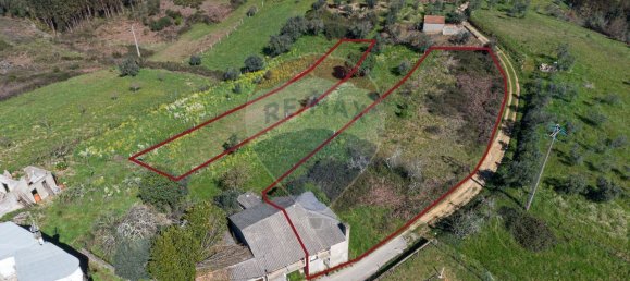 1 Schlafzimmer Haus in Pombeiro da Beira, Portugal, Nr. 16599 3