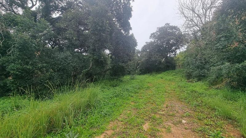 Grundstück in Cadiz, Spain 2586m², Nr. 226263