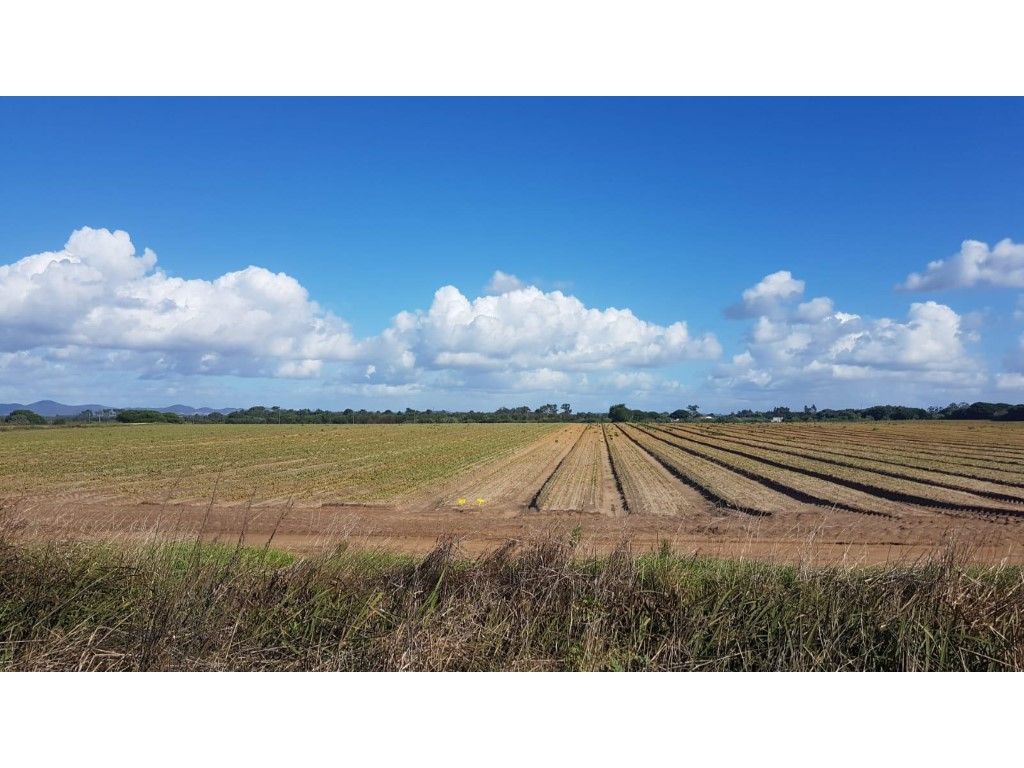 68250m² Land in Odemira, Portugal No. 53830