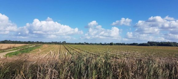 68250m² Land in Odemira, Portugal No. 53830 3