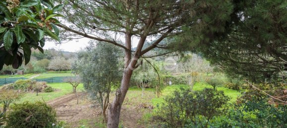 2 bedrooms House in Colares, Portugal No. 115928 23