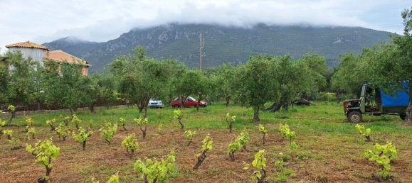 Земельный участок 4444м² в Керкира, Греция № 93232 15