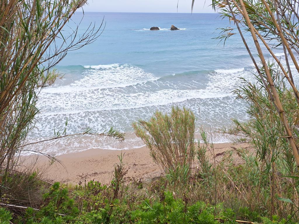 4444m² Land in Corfu, Greece No. 93232