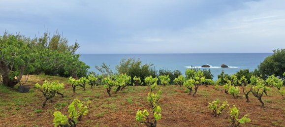 Земельный участок 4444м² в Керкира, Греция № 93232 13