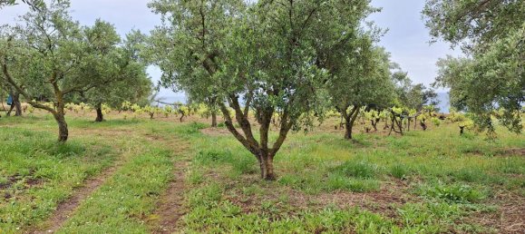 Земельный участок 4444м² в Керкира, Греция № 93232 2