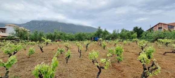 Земельный участок 4444м² в Керкира, Греция № 93232 19