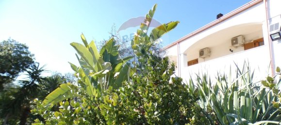 7 Schlafzimmer Haus in Vieste, Italy, Nr. 327981 22