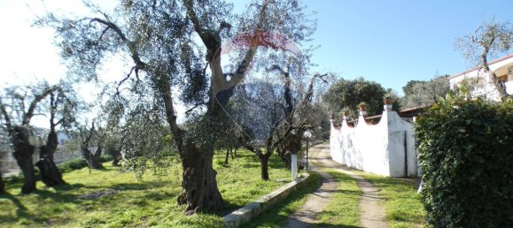 7 Schlafzimmer Haus in Vieste, Italy, Nr. 327981 25