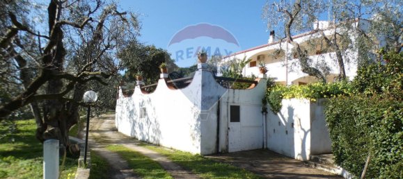 7 Schlafzimmer Haus in Vieste, Italy, Nr. 327981 26