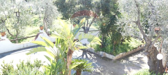 7 Schlafzimmer Haus in Vieste, Italy, Nr. 327981 8