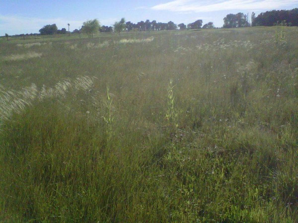  Land in Pilar, Argentina No. 40860